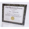 Premium Polymer Certificate Frame w/ Jade Marble Finish